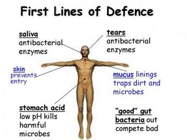 Immune system defense