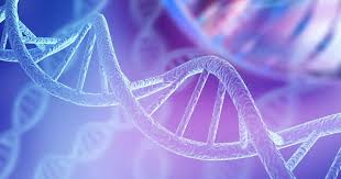 DNA double helix