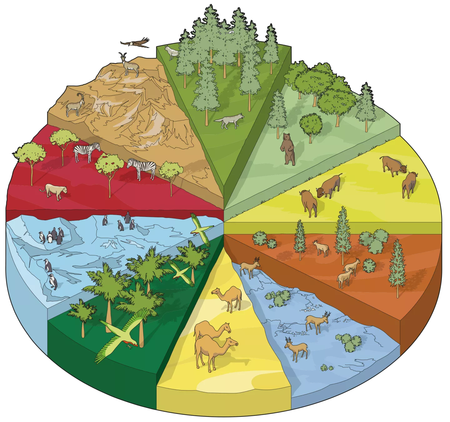 Different habitats around the world
