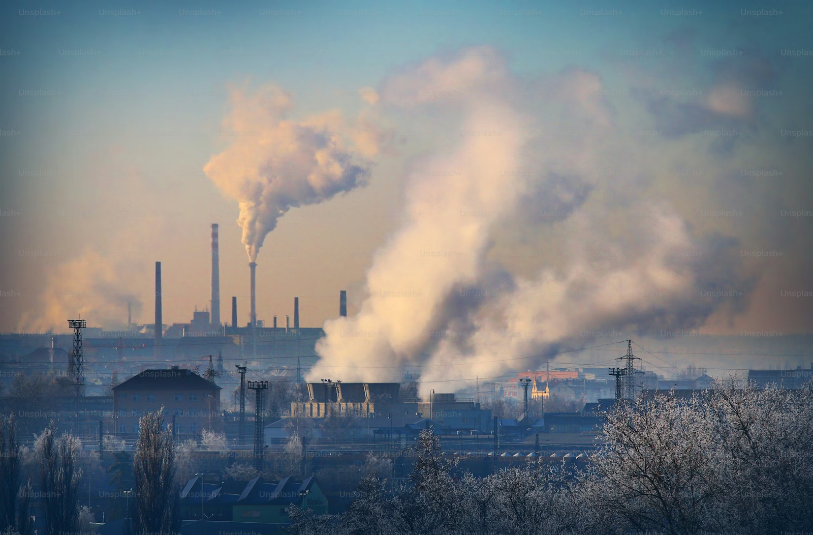 Pollution and conservation