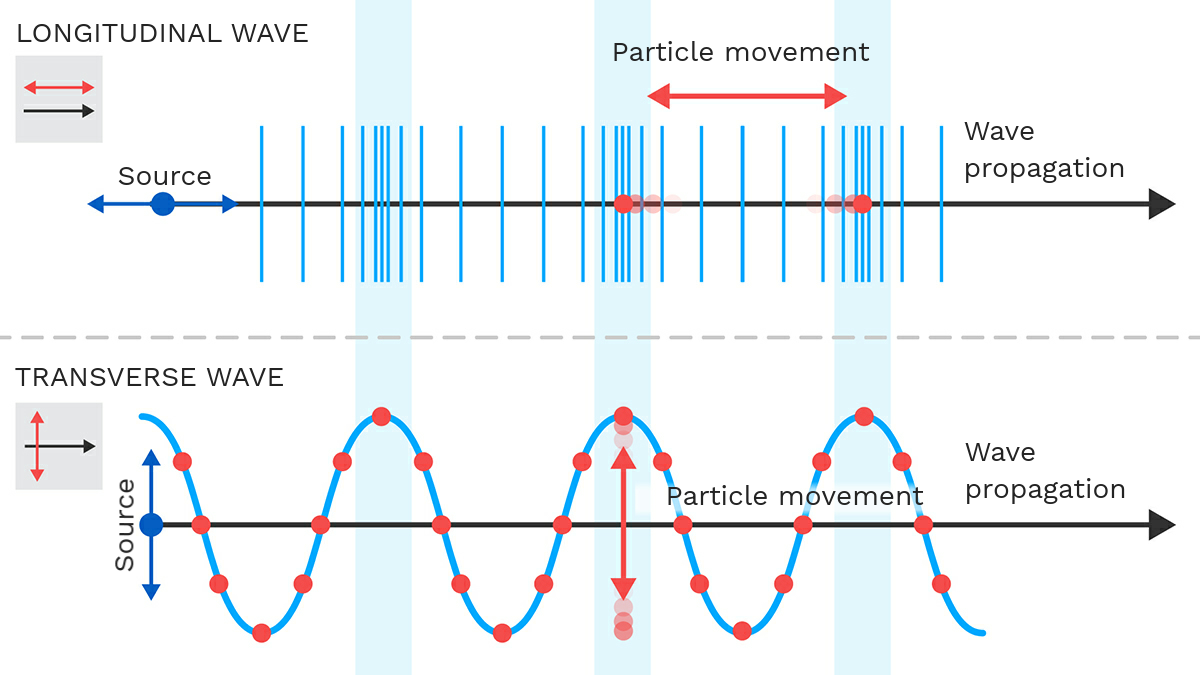 Transverse and longitudinal waves comparison